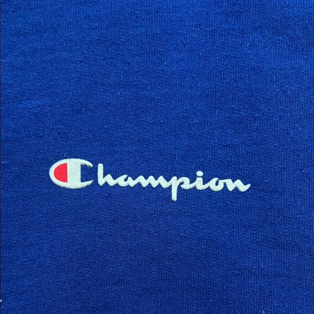 Champion Blue Crewneck Sweater - Large